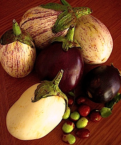 The totally white aubergine is no doubt what gave this vegetable its other name -- eggplant. 